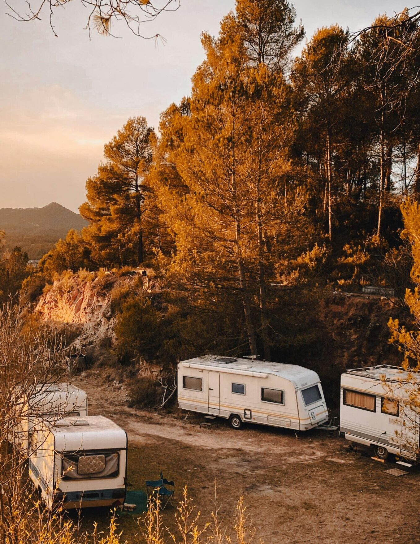 Drei Wohnwagen stehen auf einem naturbelassenen Stellplatz in einem Waldgebiet